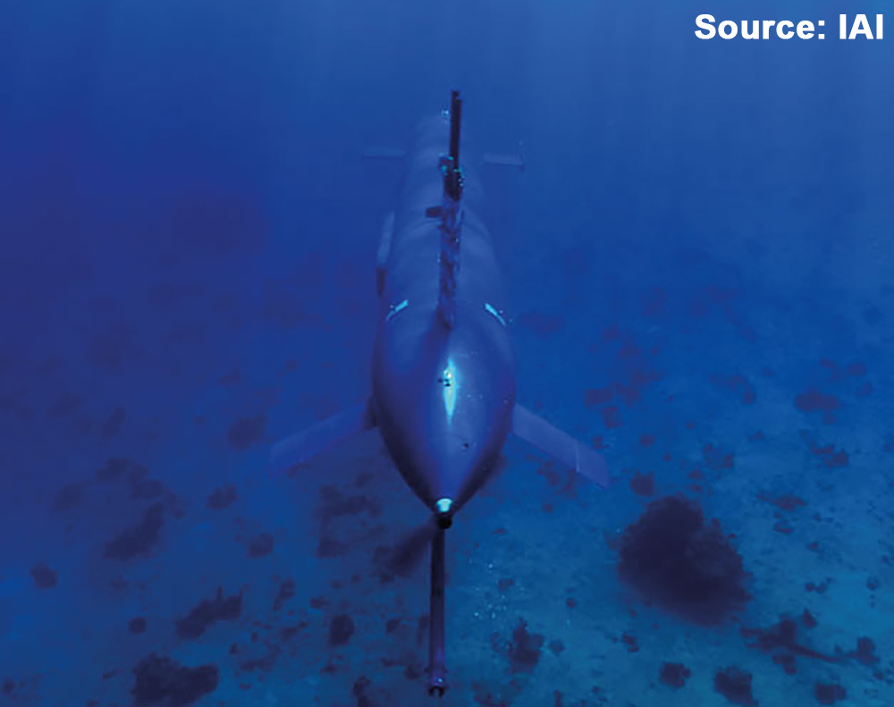 Bluewhale_2