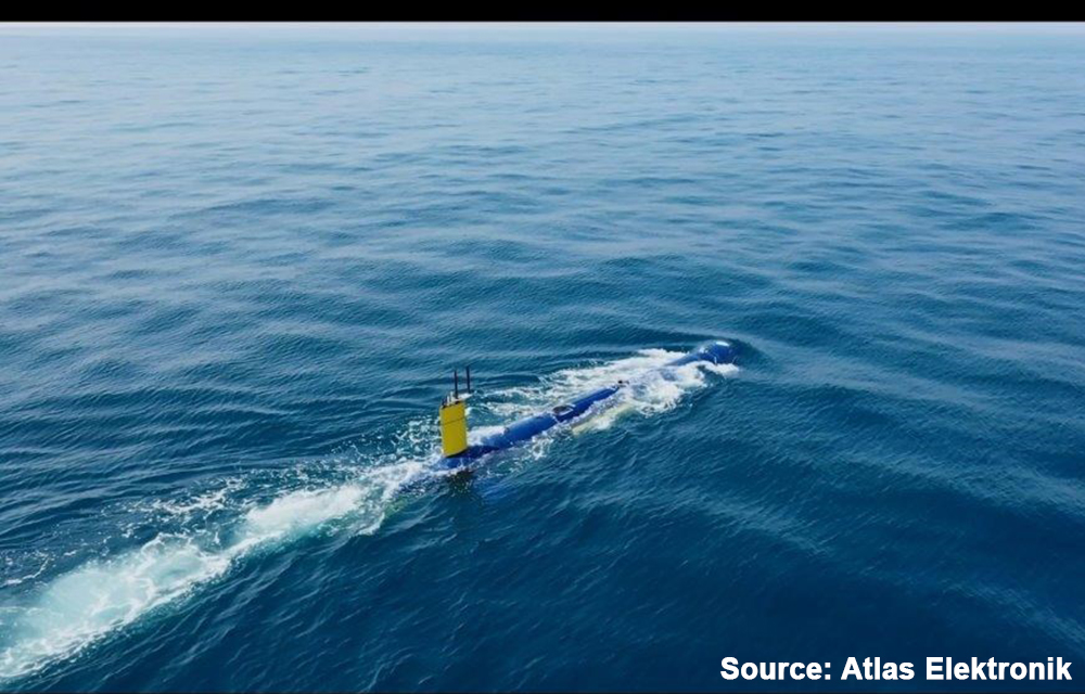 Bluewhale_3